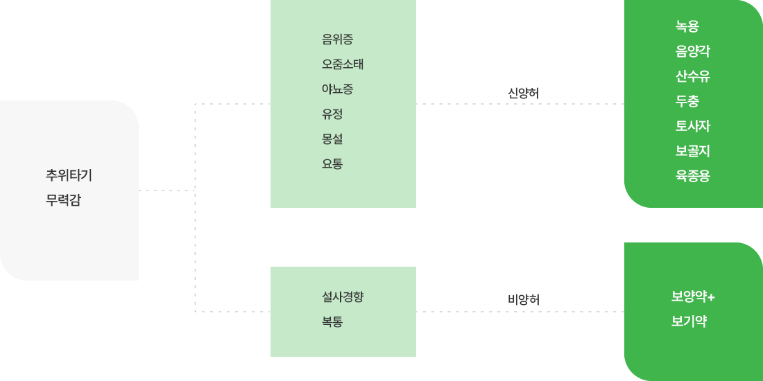 ������ �Ϲ�����